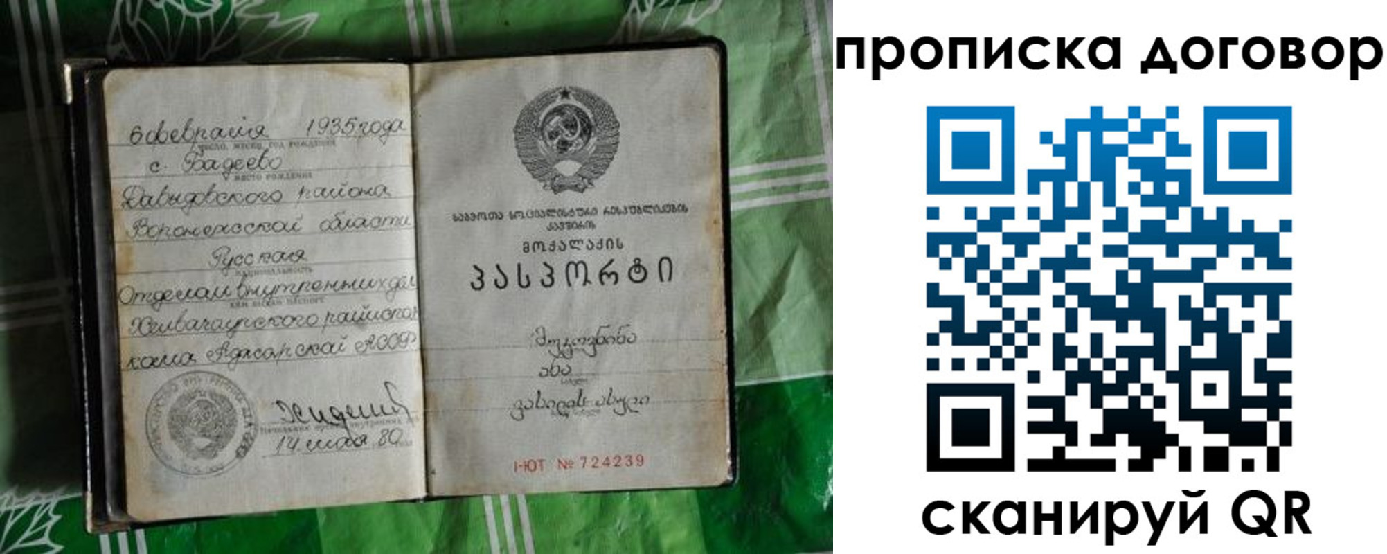 прописка в Асино